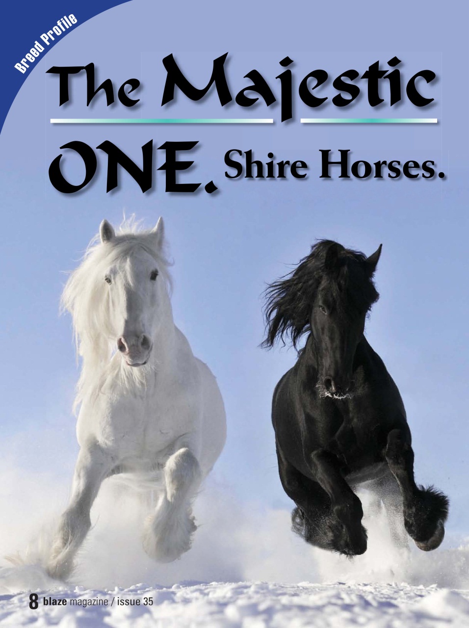 Blaze Magazine For Horse Crazy Kids Preview Pages