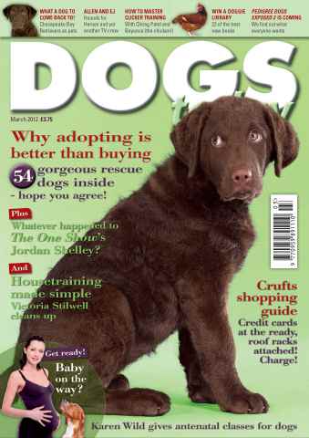 Dogs Today Magazine issue March 2012