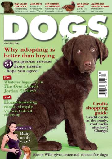 Dogs Today Magazine issue 