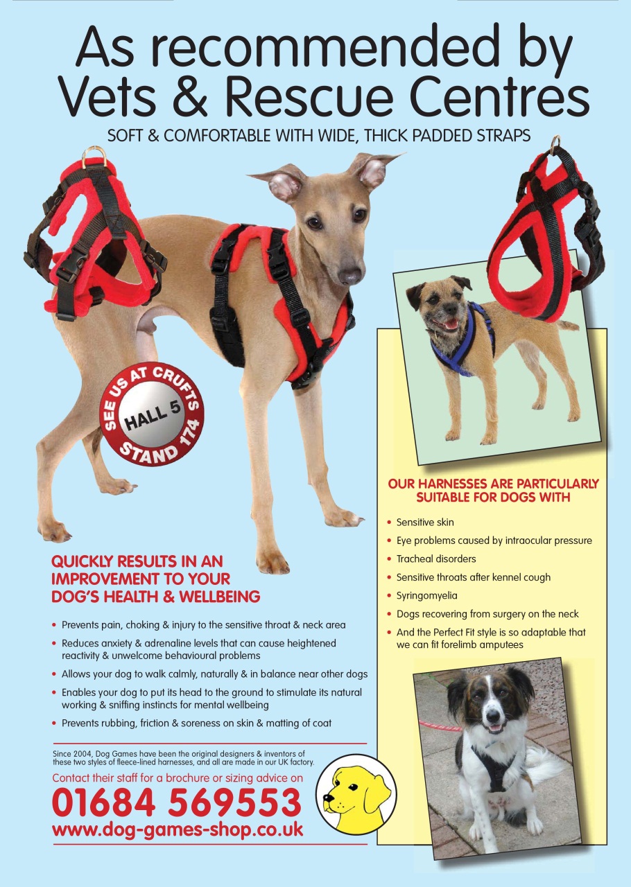 Dogs Today Magazine Preview Pages