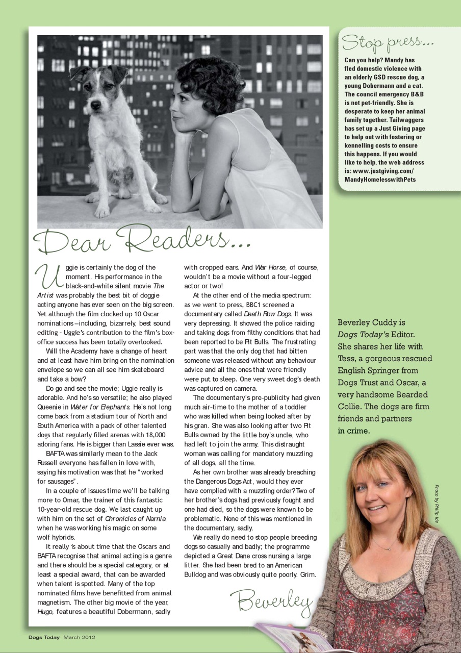 Dogs Today Magazine Preview Pages