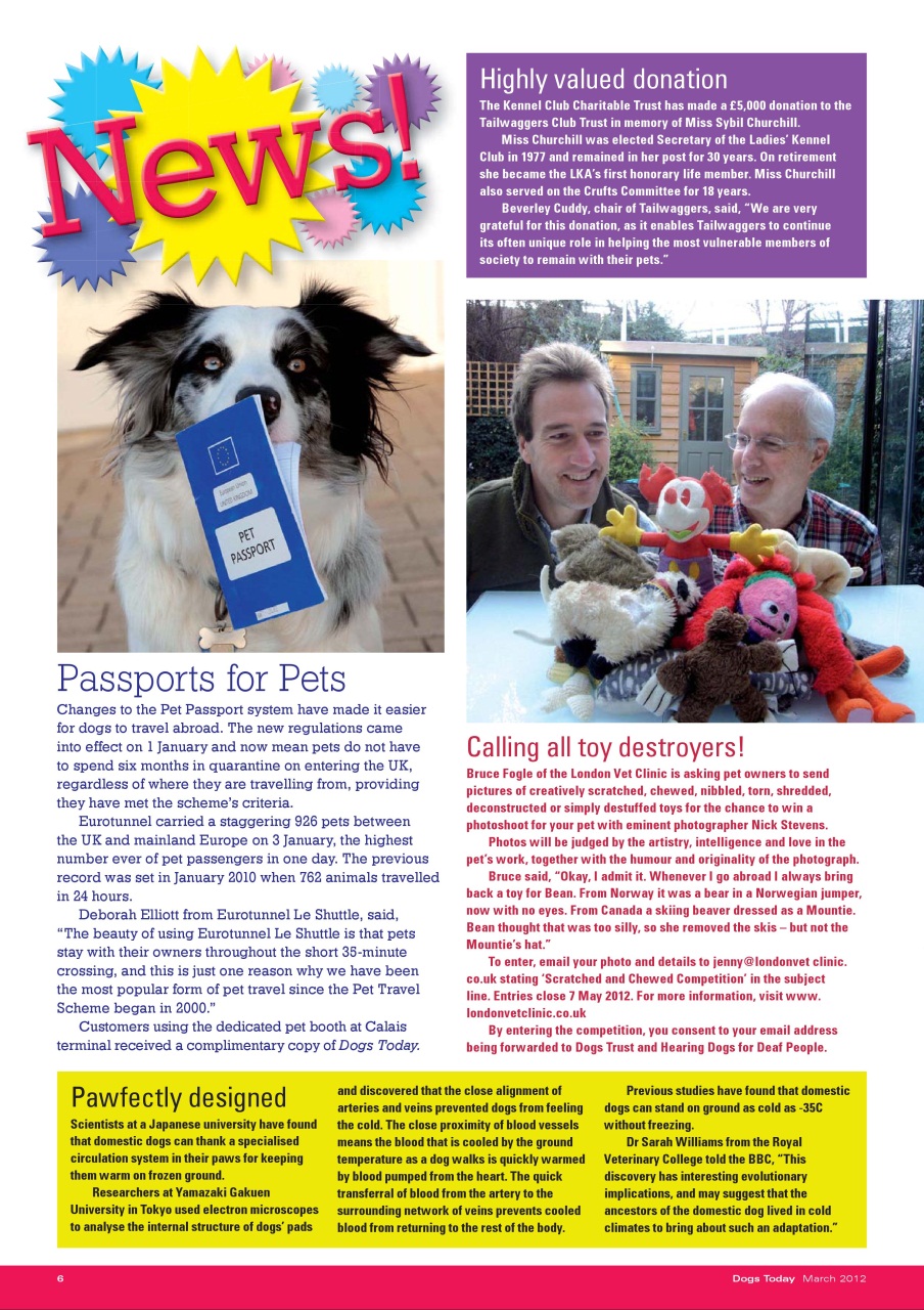 Dogs Today Magazine Preview Pages