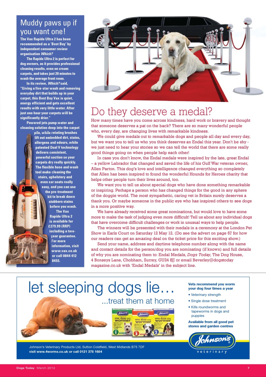 Dogs Today Magazine Preview Pages