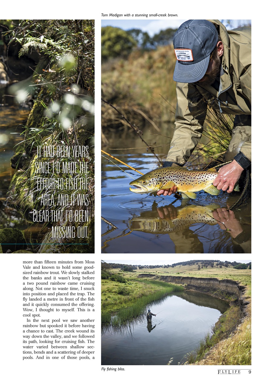 FlyLife Preview Pages