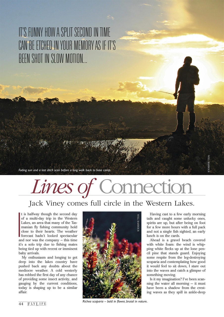 FlyLife Preview Pages