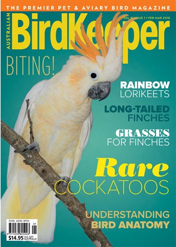 Australian Birdkeeper Magazine issue BirdKeeper Vol 31 Iss 1