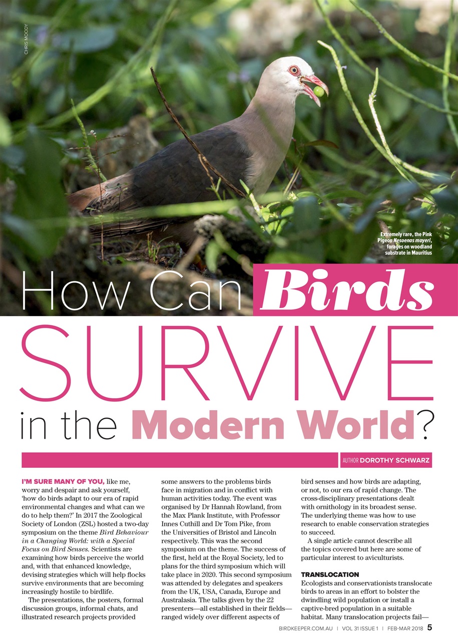 Australian Birdkeeper Magazine Preview Pages