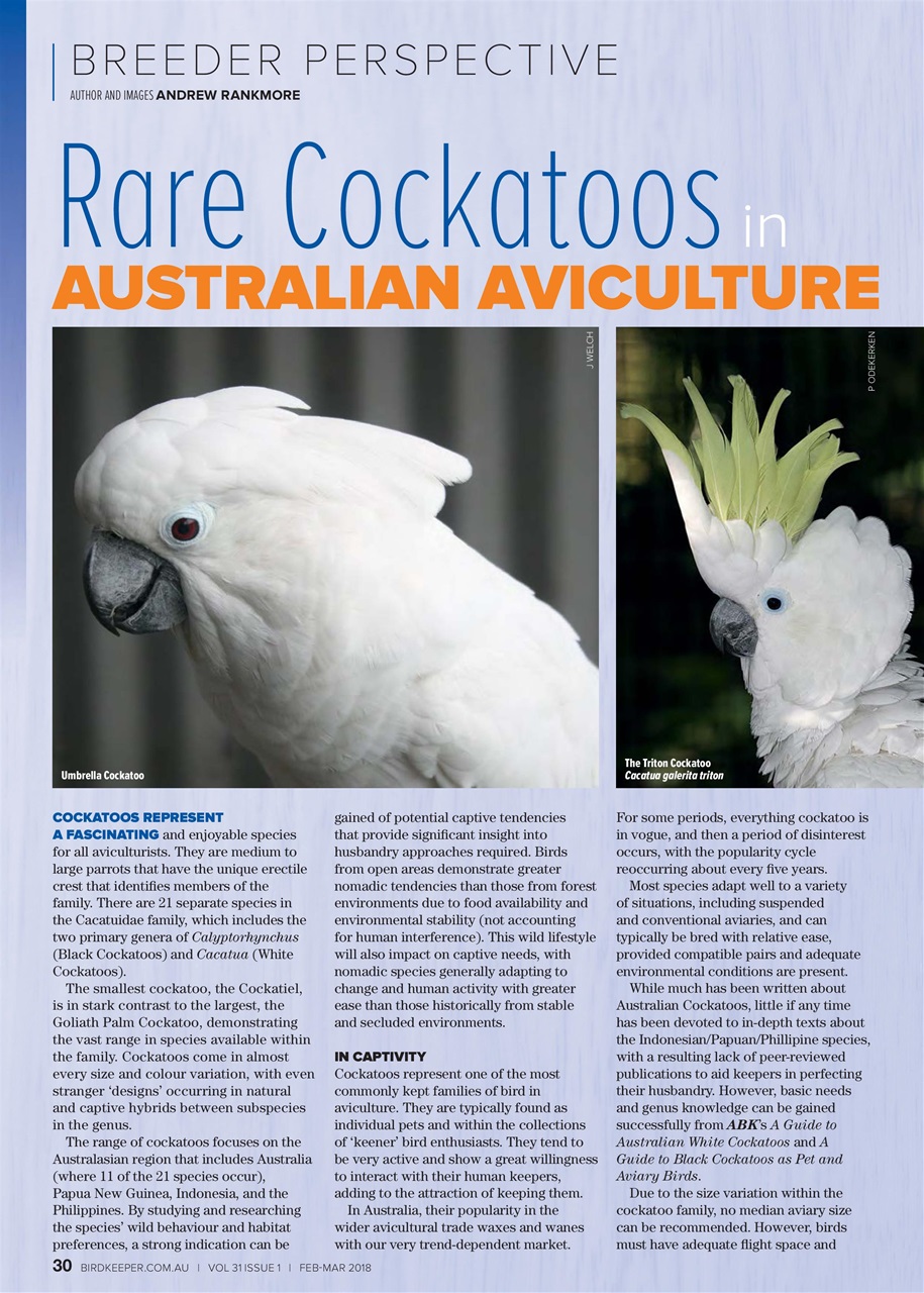 Australian Birdkeeper Magazine Preview Pages