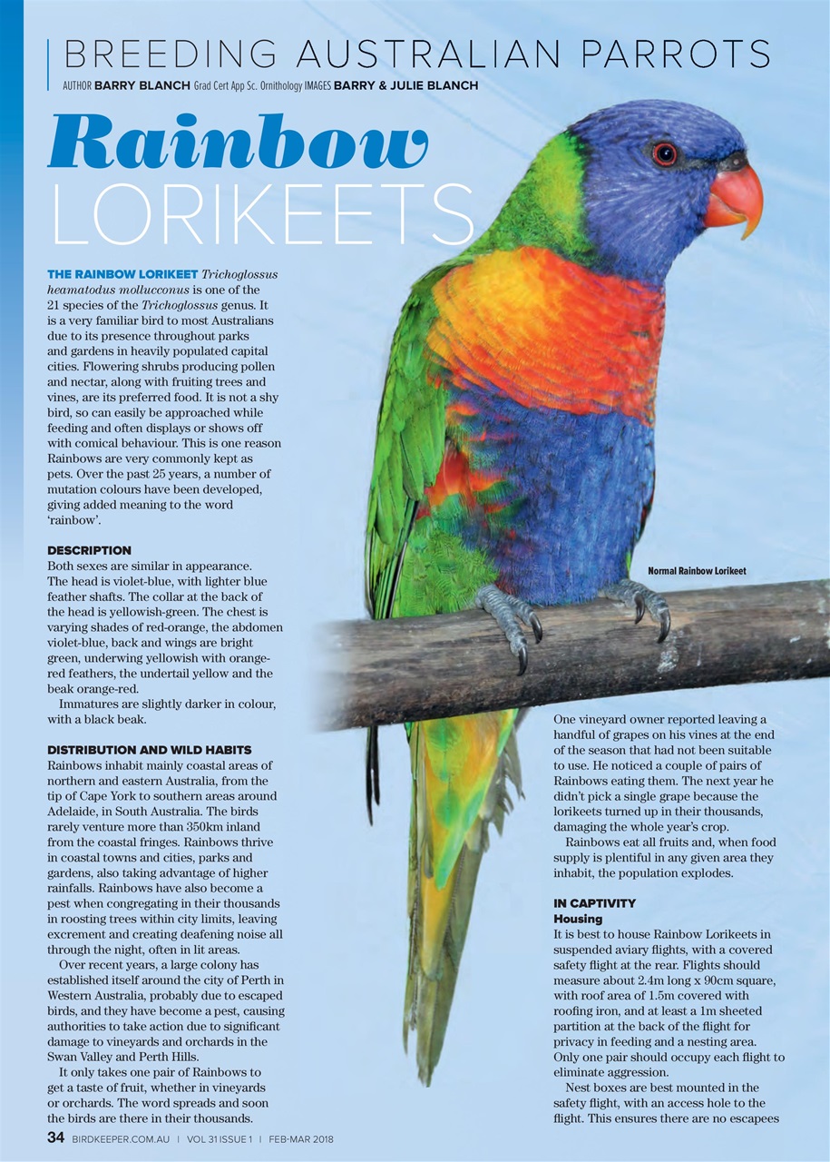 Australian Birdkeeper Magazine Preview Pages