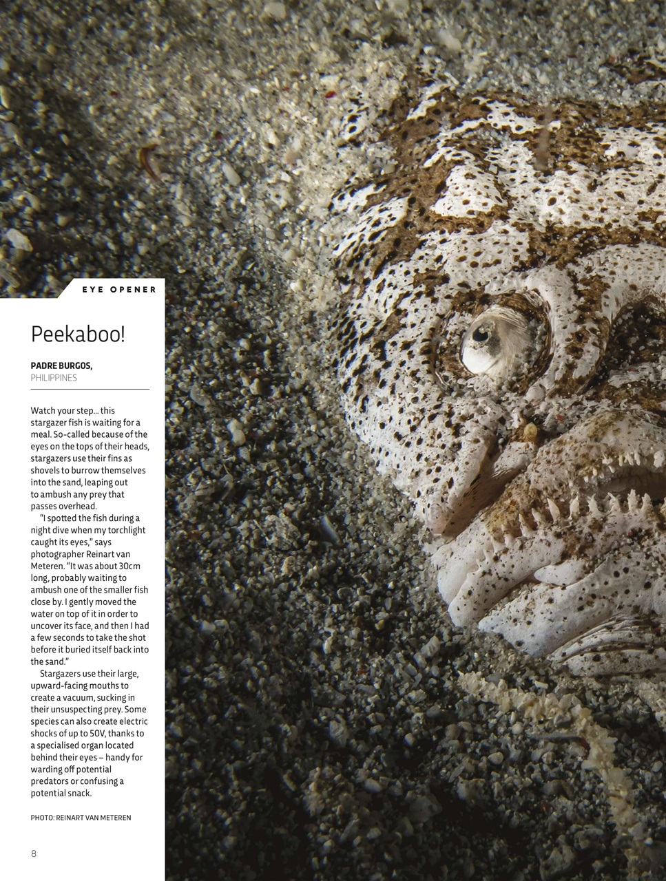 BBC Science Focus Magazine Preview Pages