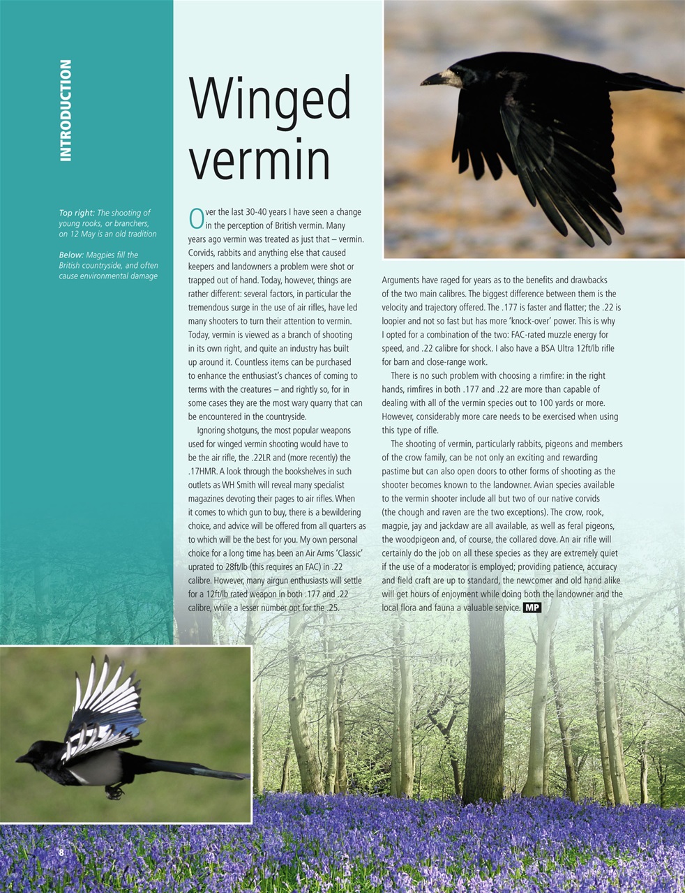 Sp Rifle Vermin & Varminting Preview Pages