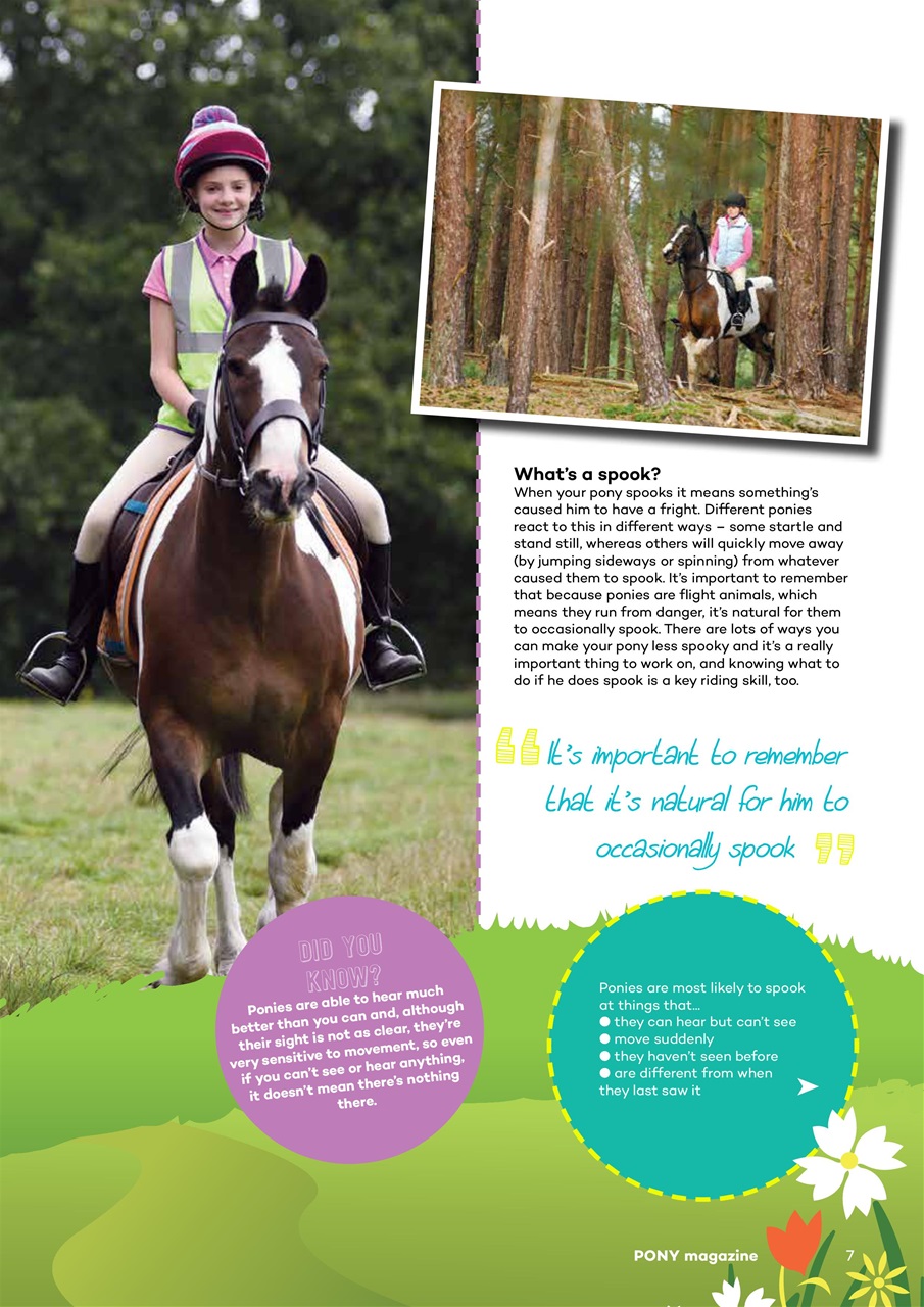 Pony Magazine Preview Pages