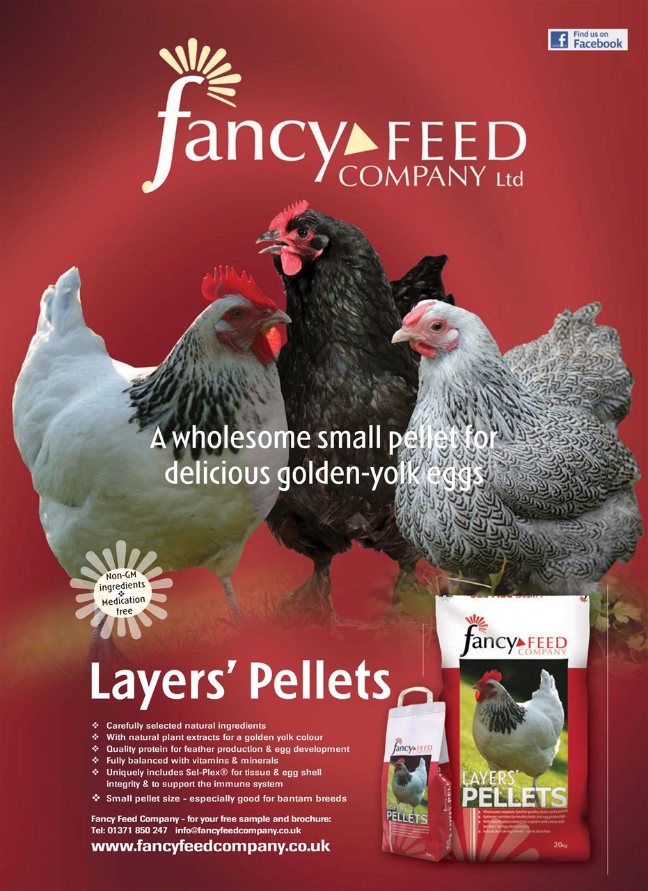 Practical Poultry Preview Pages