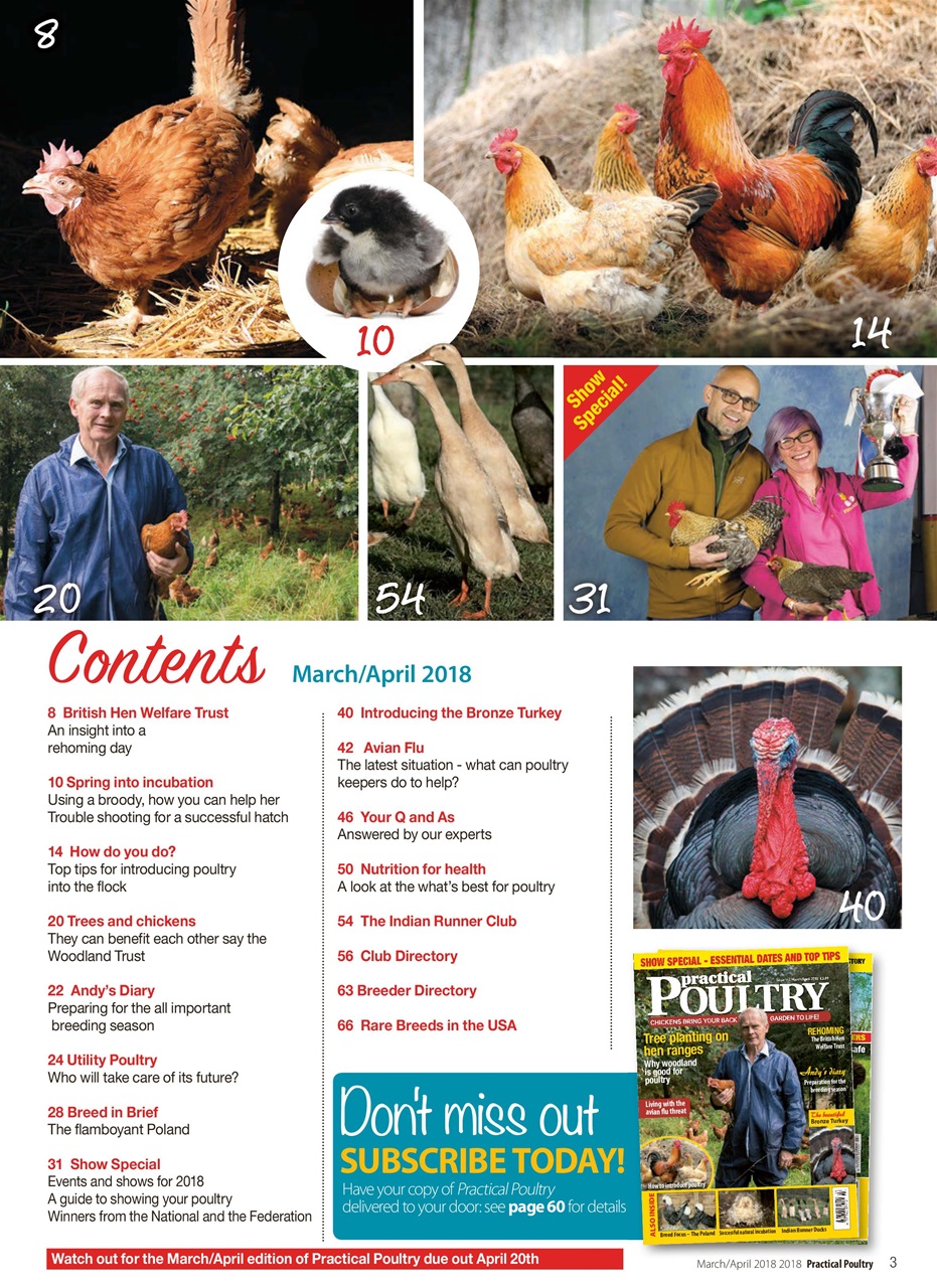 Practical Poultry Preview Pages