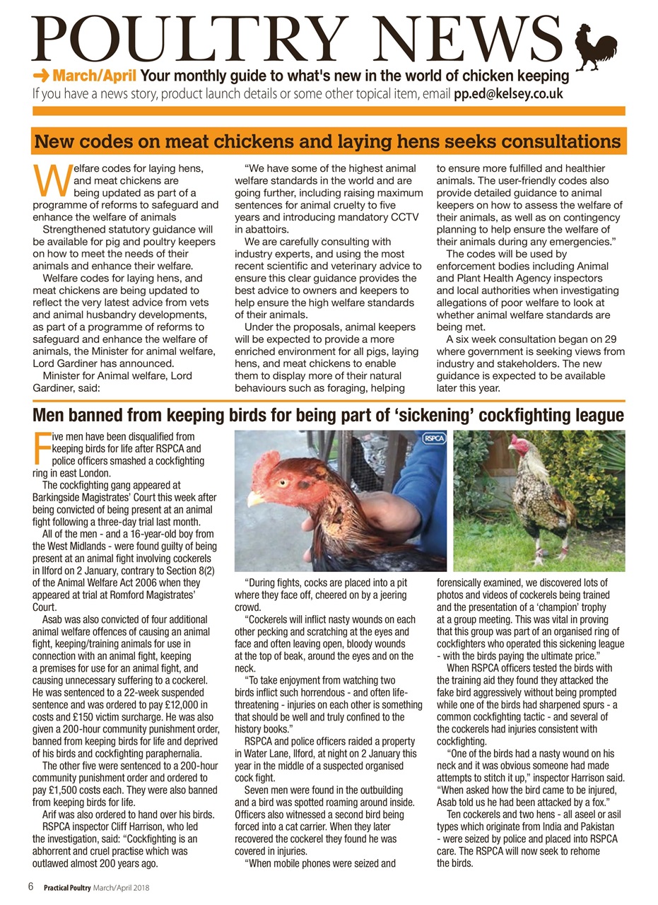 Practical Poultry Preview Pages
