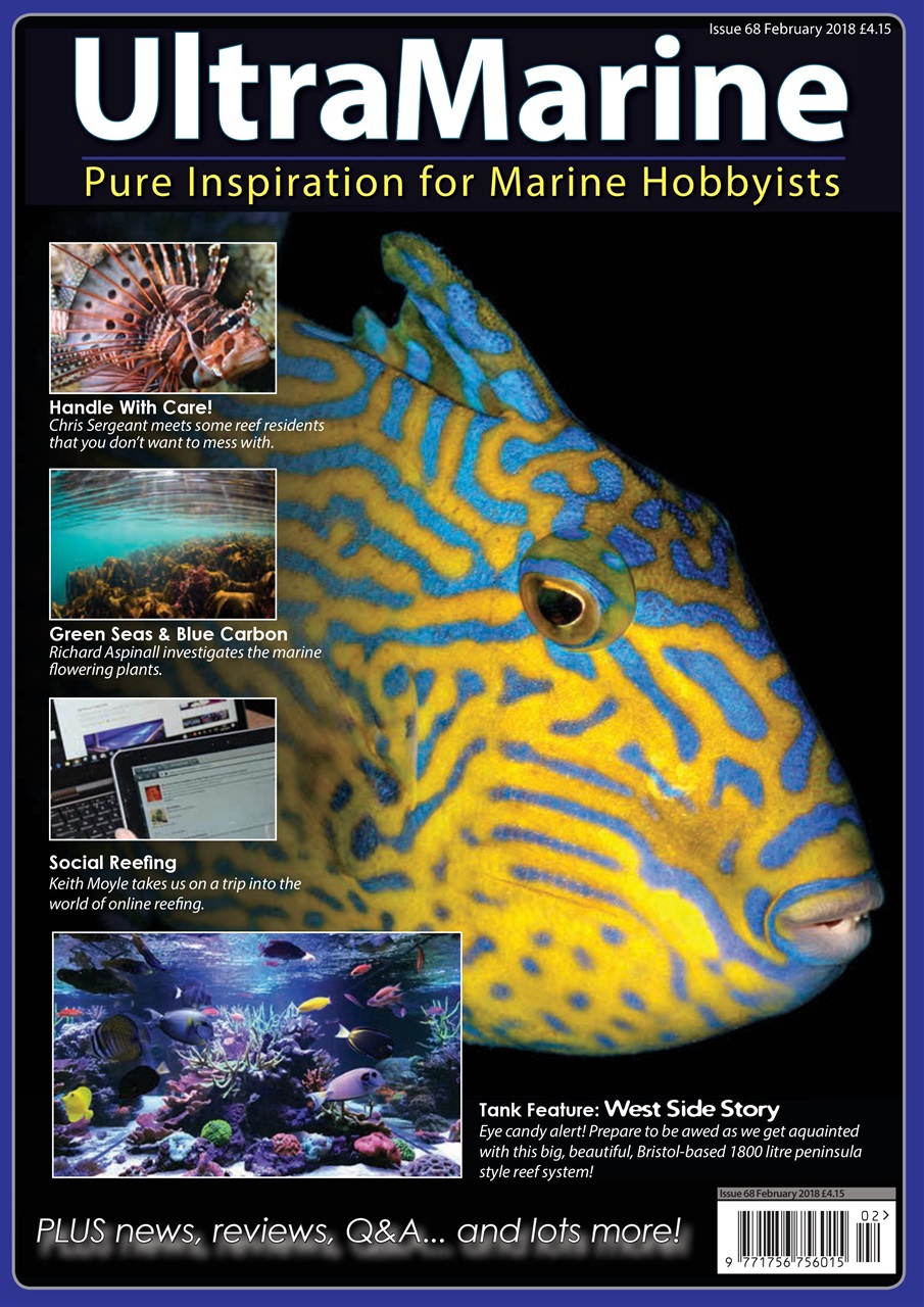 UltraMarine Magazine Preview Pages