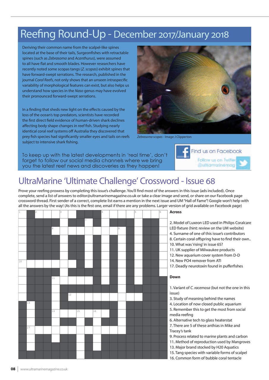 UltraMarine Magazine Preview Pages
