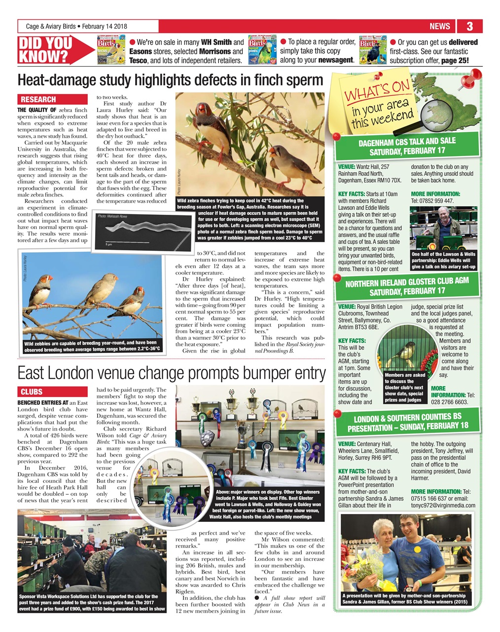 Cage & Aviary Birds Preview Pages