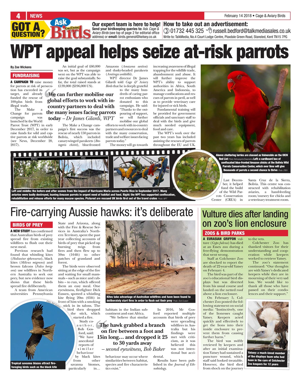 Cage & Aviary Birds Preview Pages