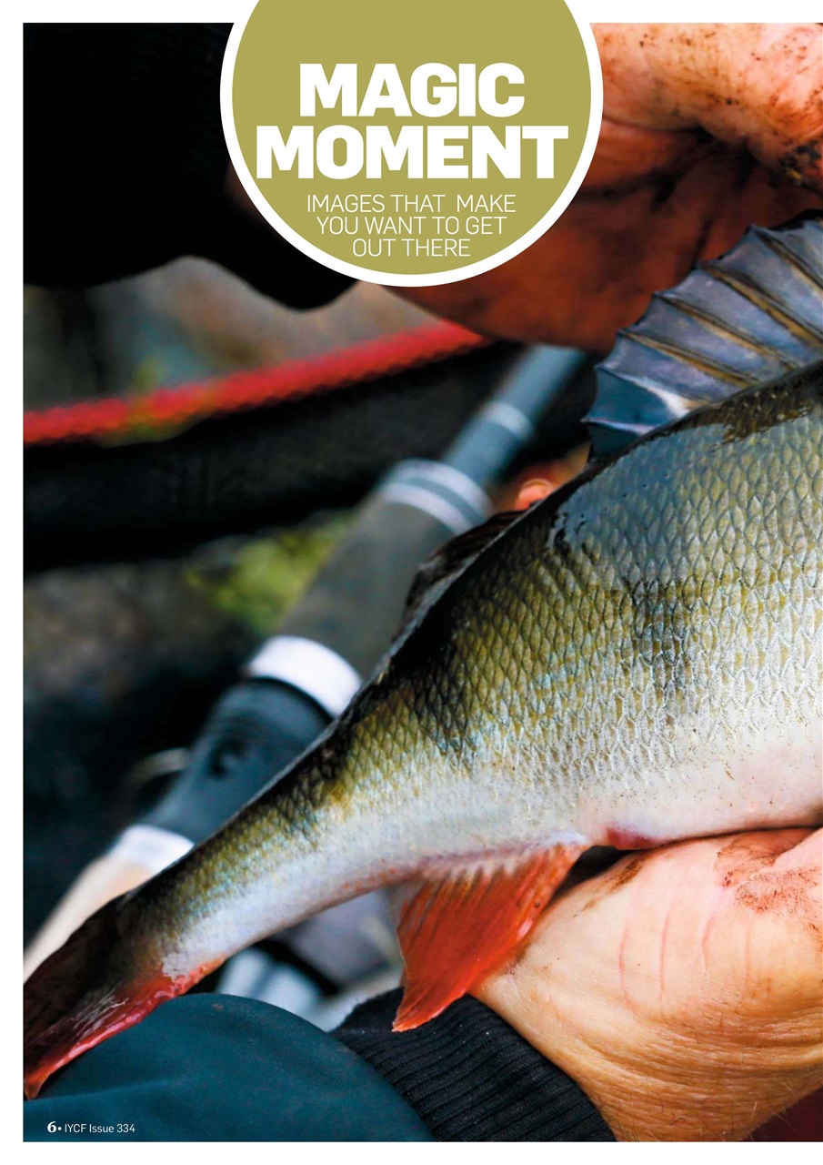 Improve Your Coarse Fishing Preview Pages