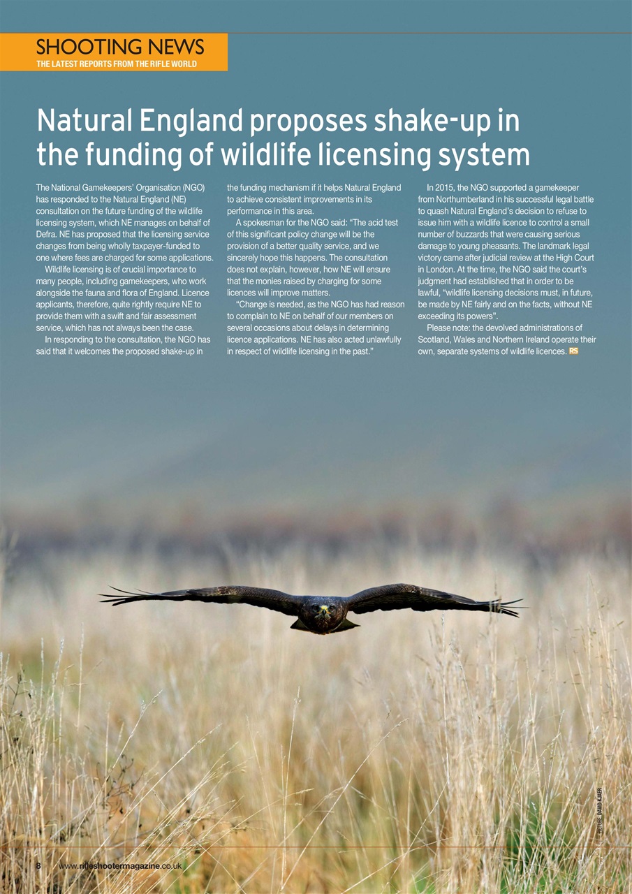 Rifle Shooter Preview Pages