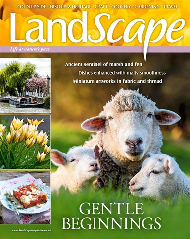 LandScape issue March 2018