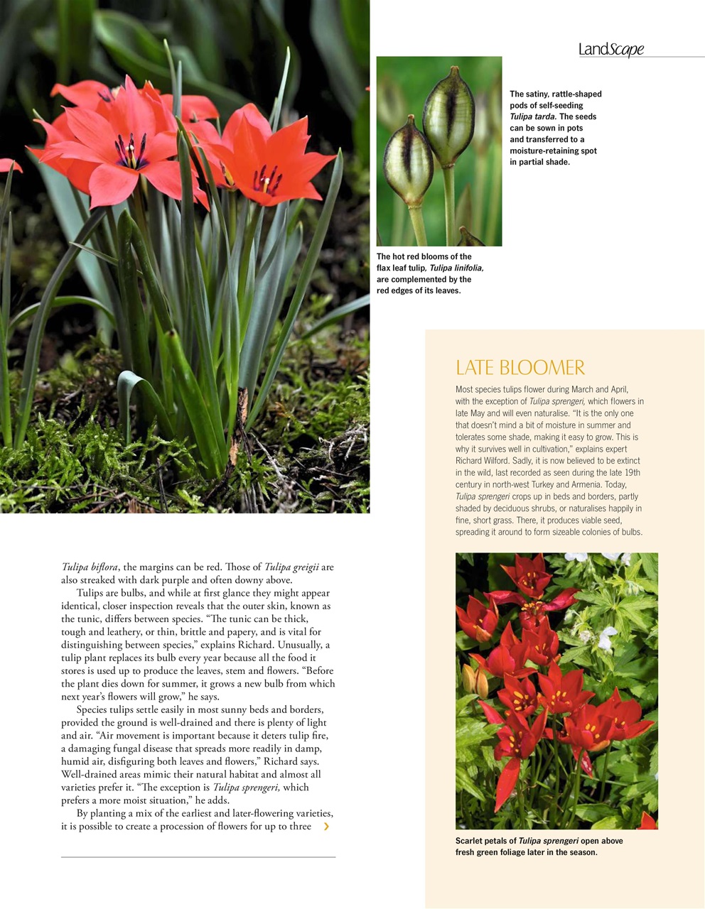 LandScape Preview Pages