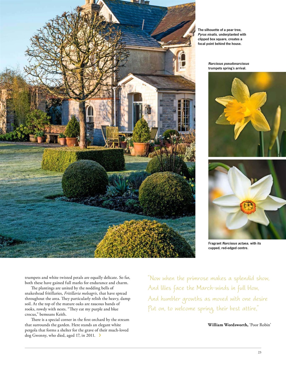 LandScape Preview Pages