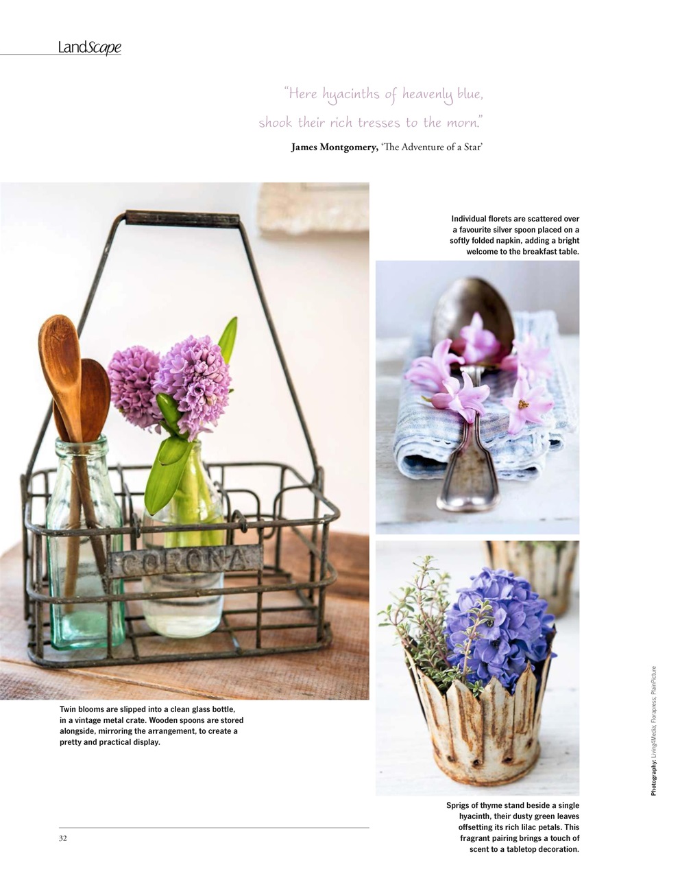 LandScape Preview Pages