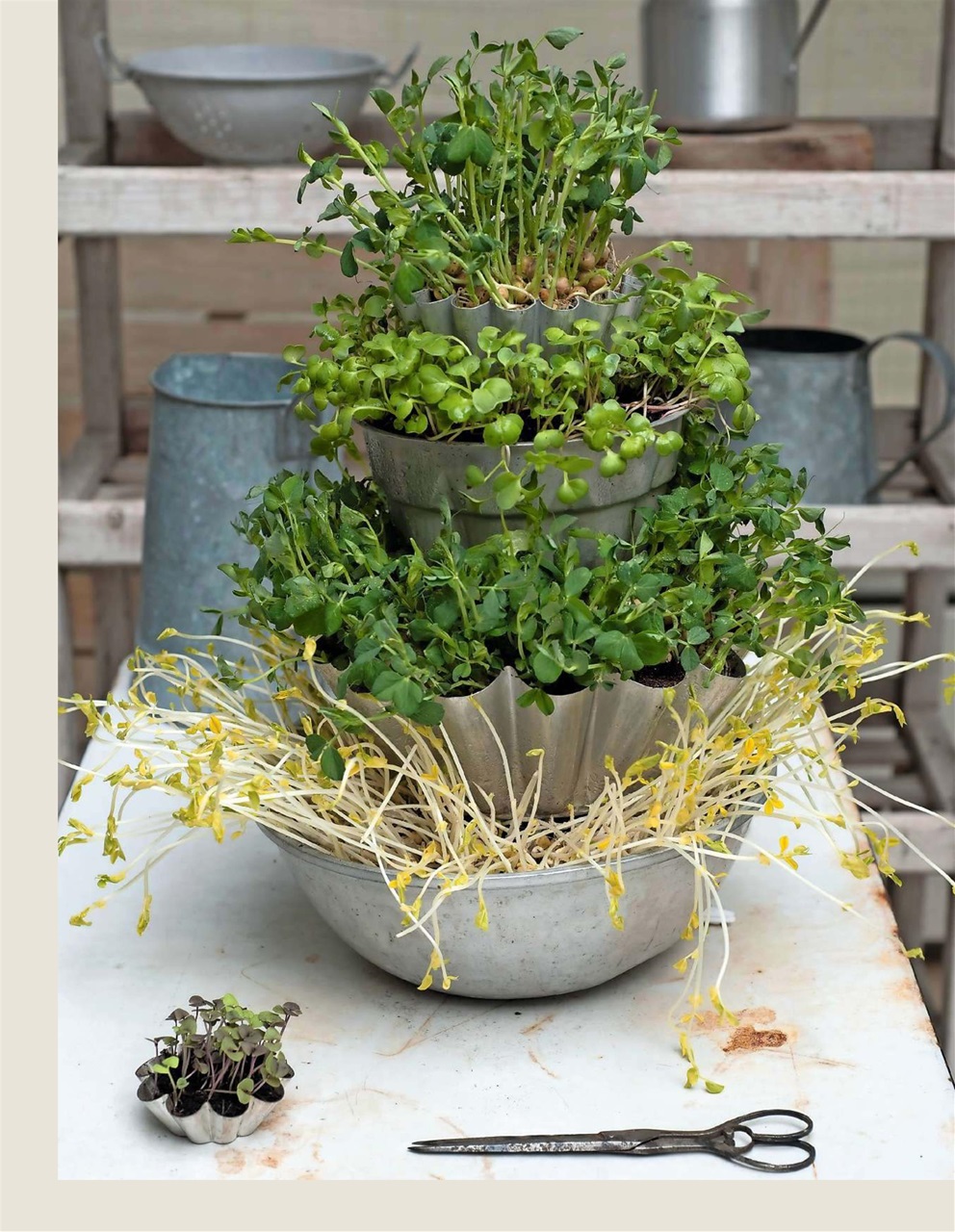 LandScape Preview Pages