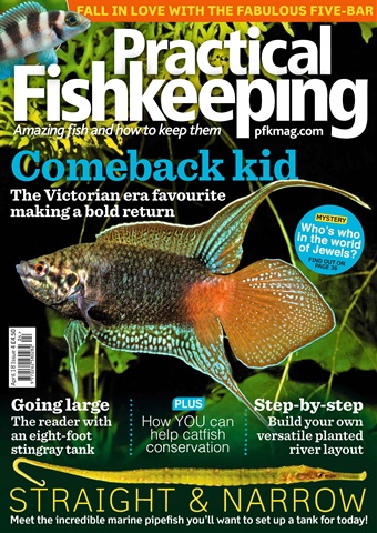 Practical Fishkeeping issue April 2018