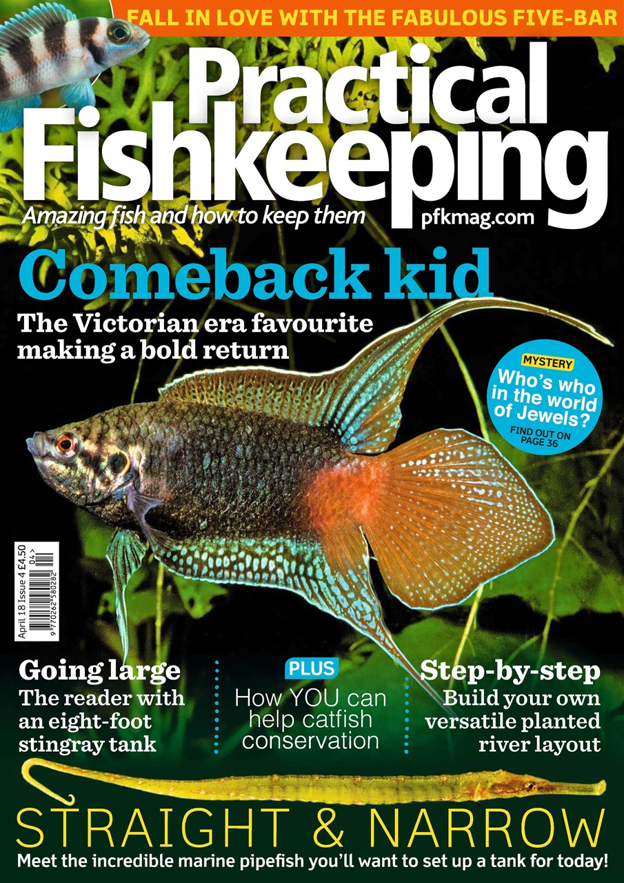 Practical Fishkeeping Preview Pages