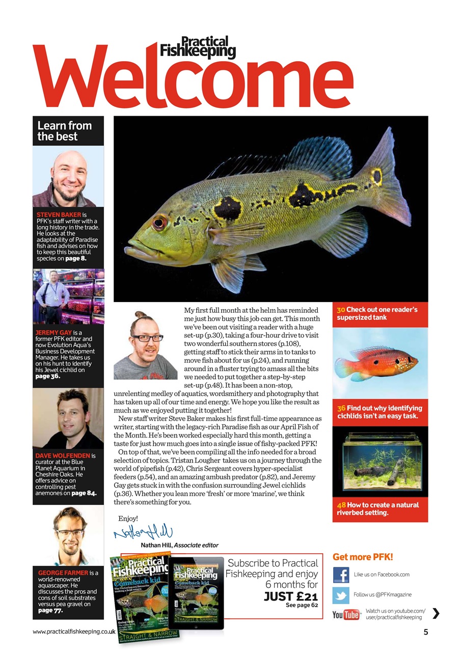Practical Fishkeeping Preview Pages