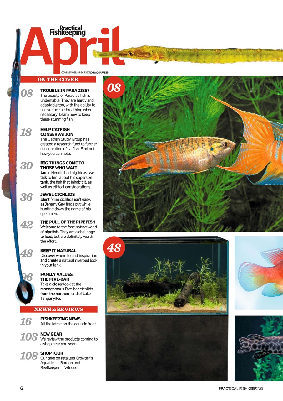 Practical Fishkeeping Preview Pages