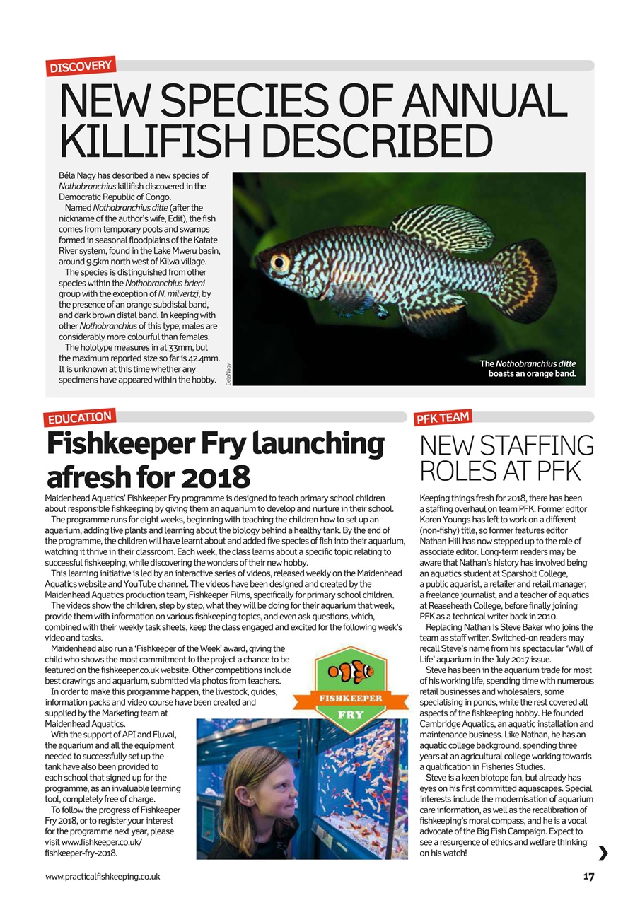 Practical Fishkeeping Preview Pages