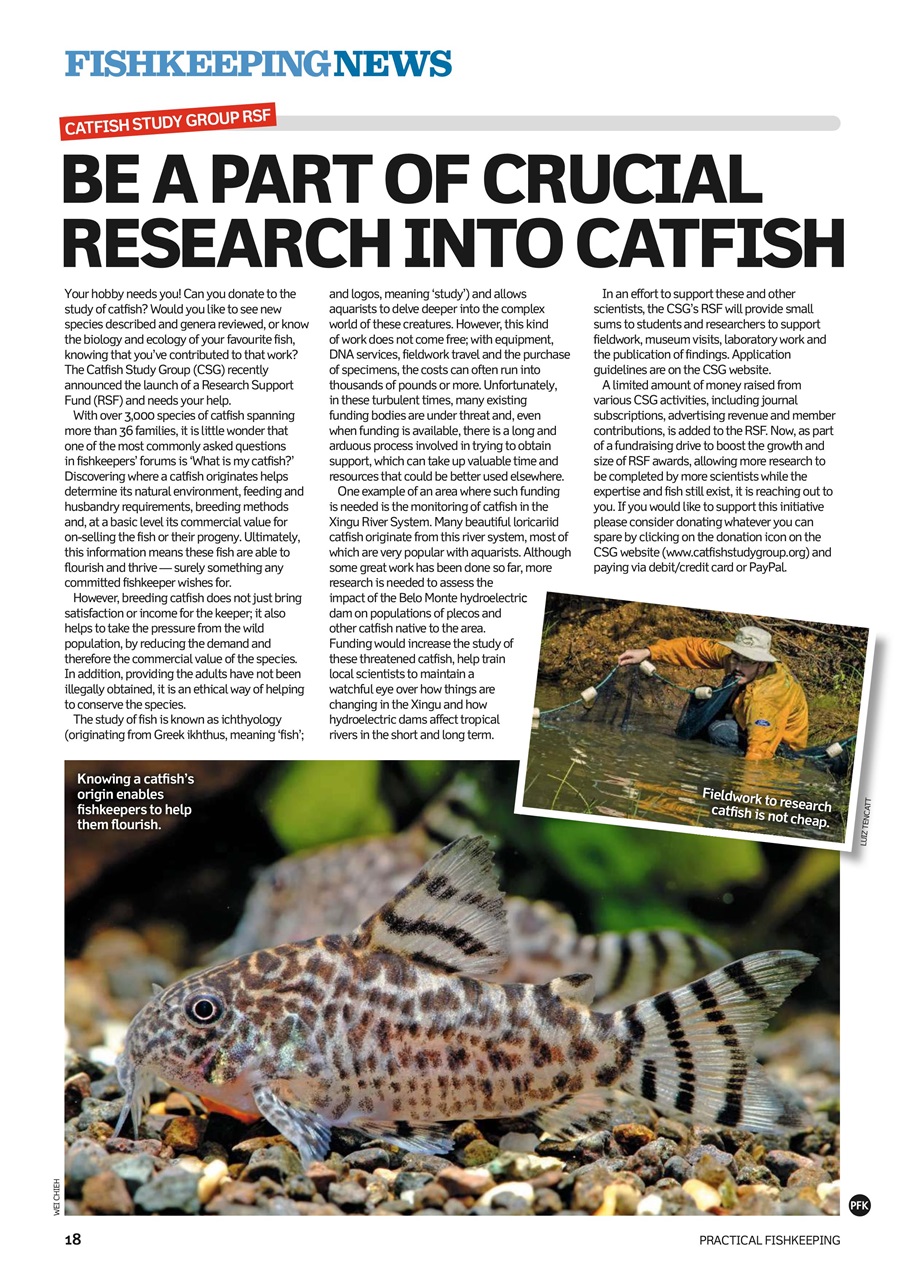 Practical Fishkeeping Preview Pages