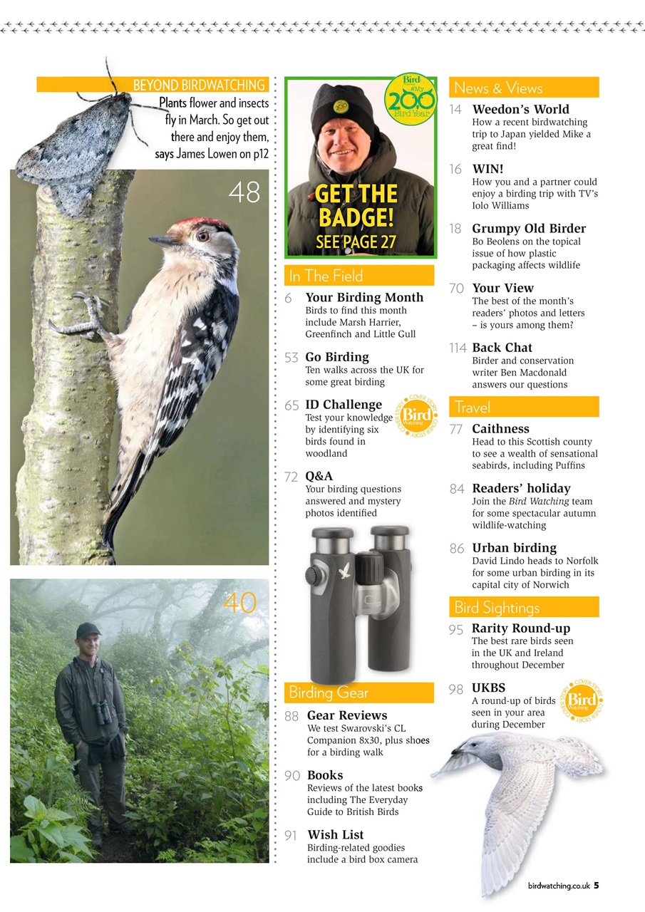 Bird Watching Preview Pages