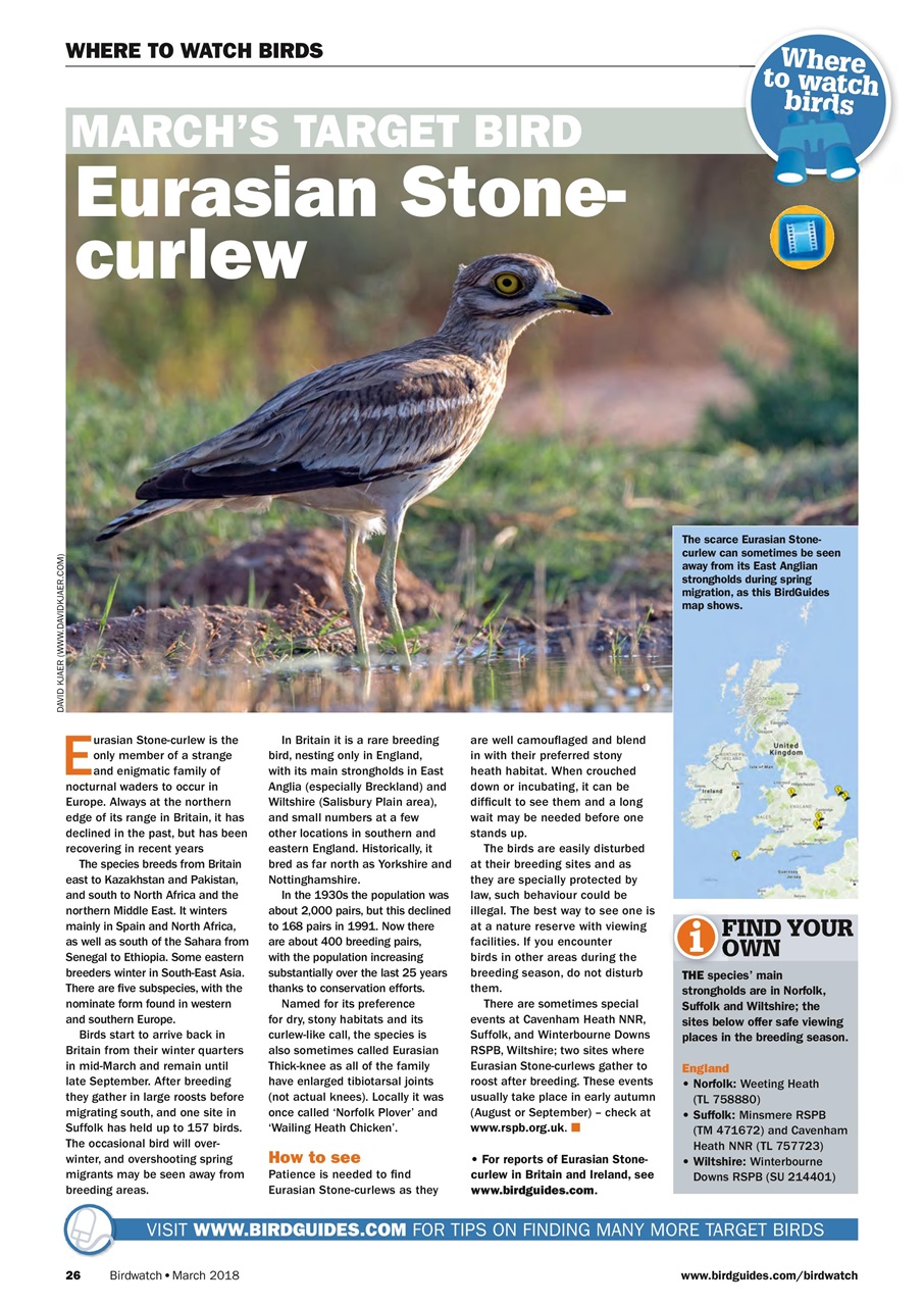 Birdwatch Magazine Preview Pages