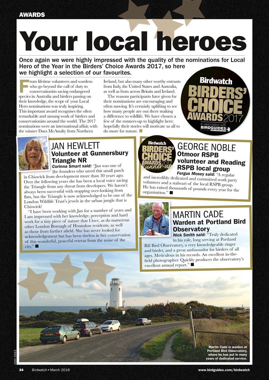 Birdwatch Magazine Preview Pages