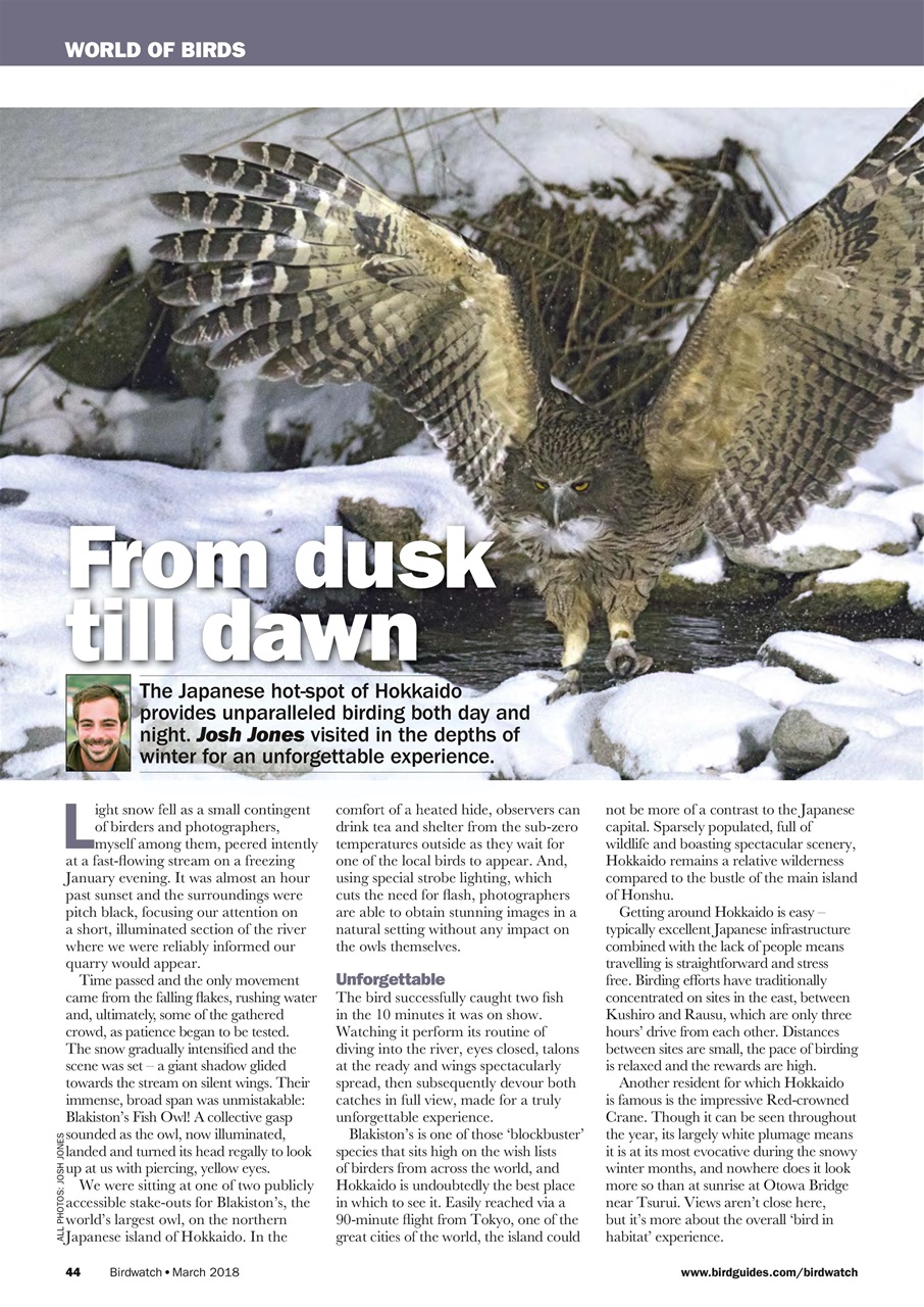 Birdwatch Magazine Preview Pages