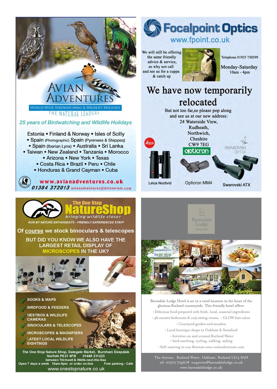 Birdwatch Magazine Preview Pages