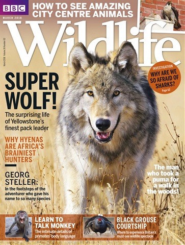 BBC Wildlife Magazine issue March 2018
