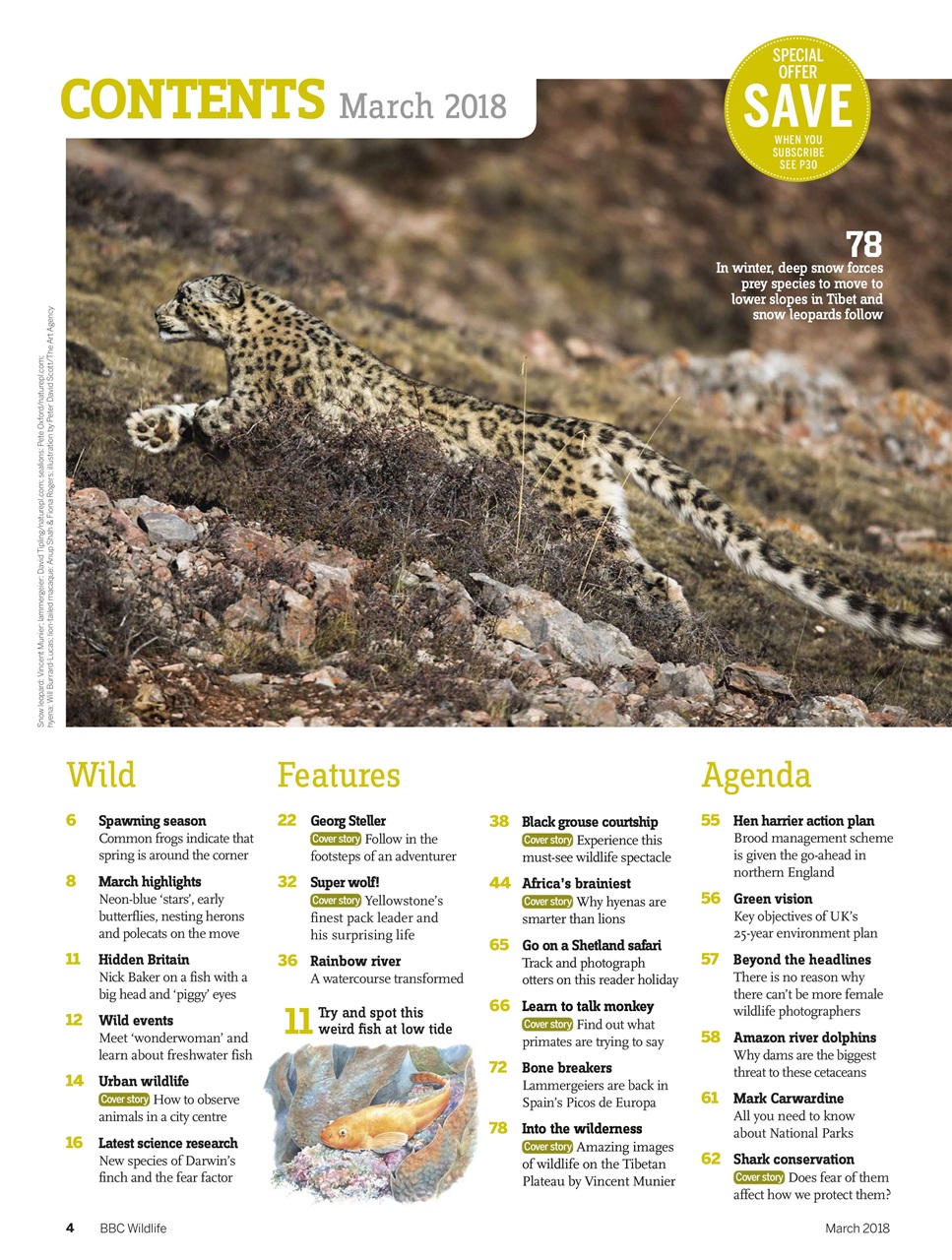 BBC Wildlife Magazine Preview Pages