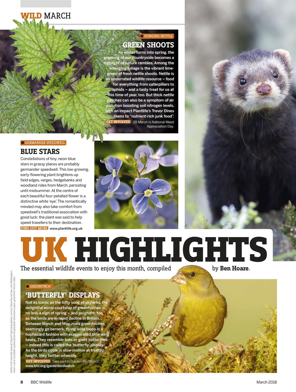 BBC Wildlife Magazine Preview Pages