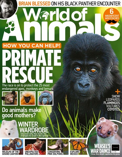 World of Animals issue 