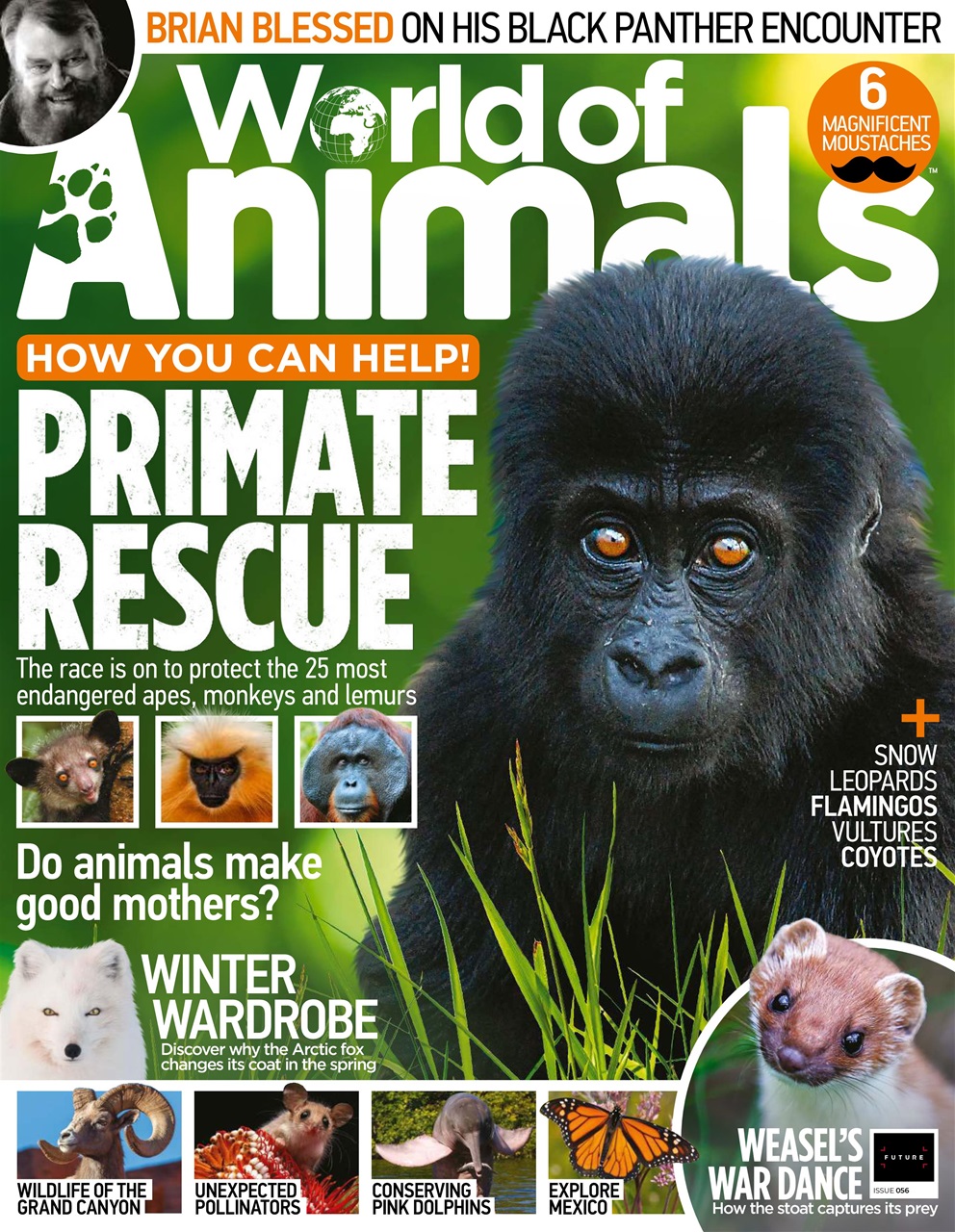 World of Animals Preview Pages