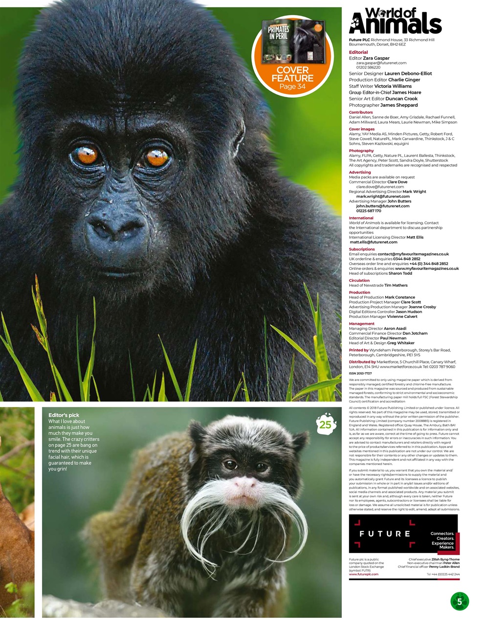 World of Animals Preview Pages