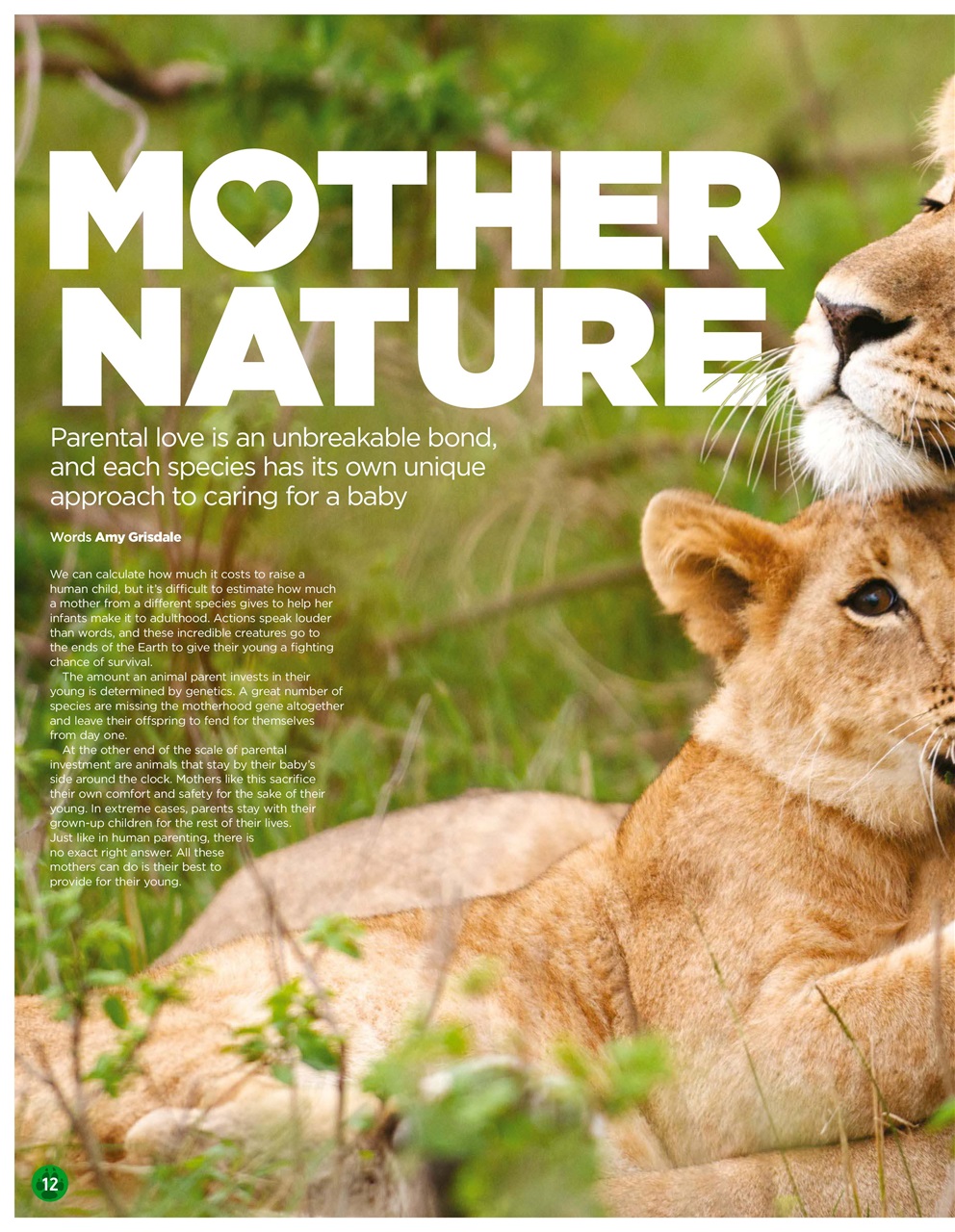 World of Animals Preview Pages