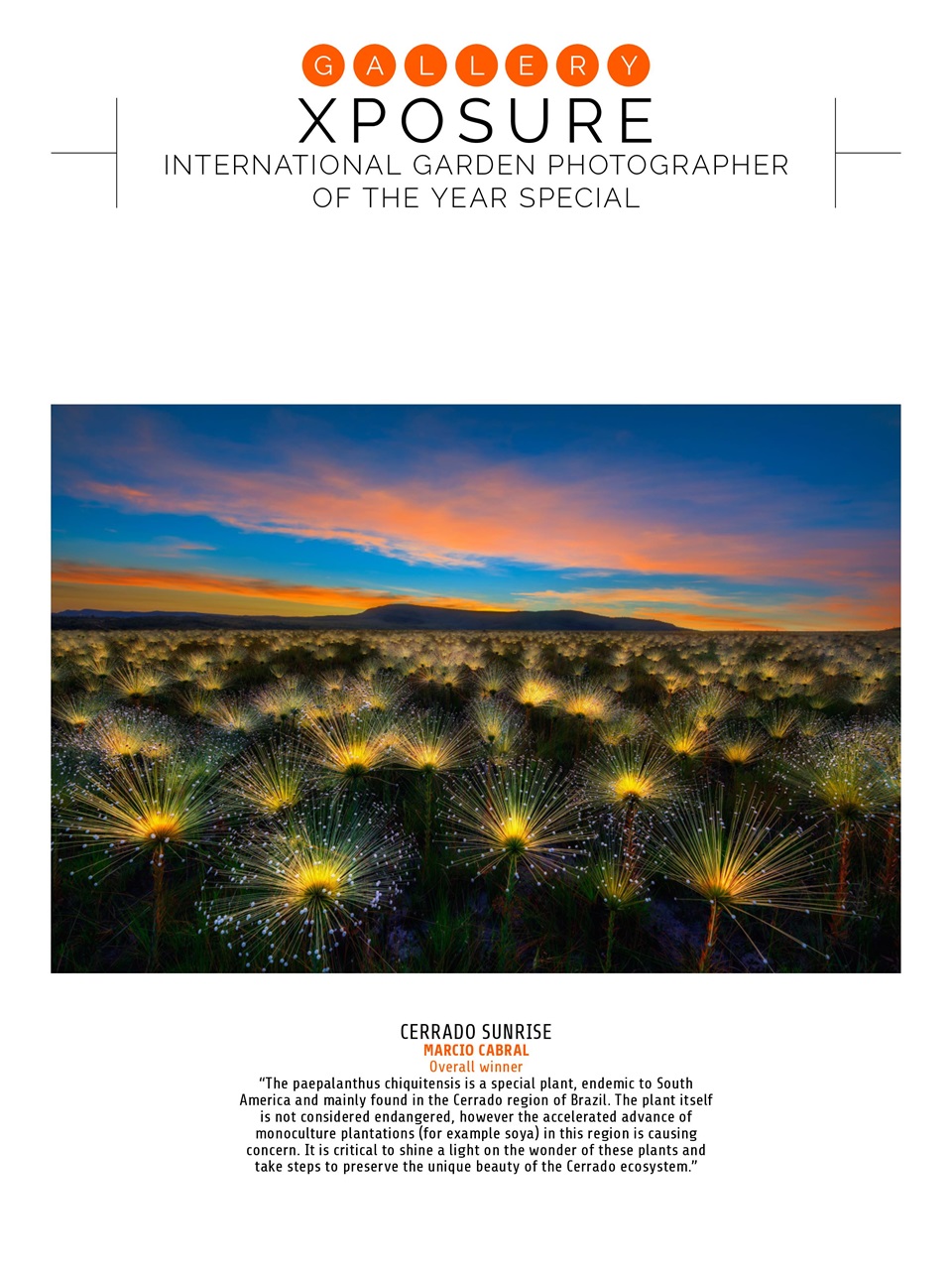 Photography Week Preview Pages