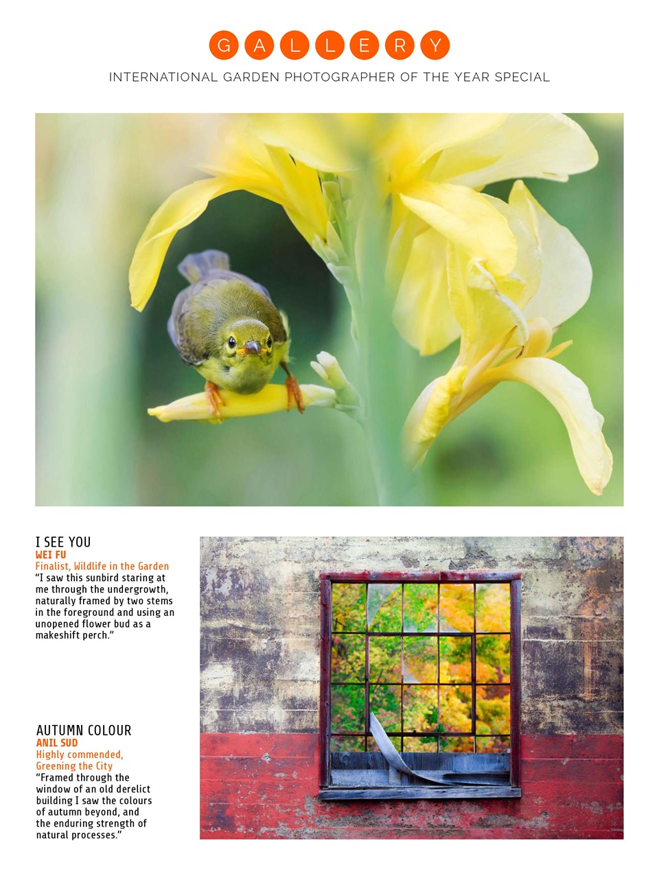 Photography Week Preview Pages